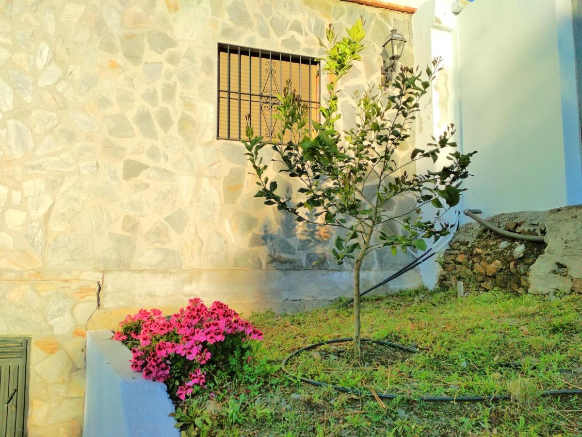 טורוקס Villa Las Encinas Costa Del Sol מראה חיצוני תמונה
