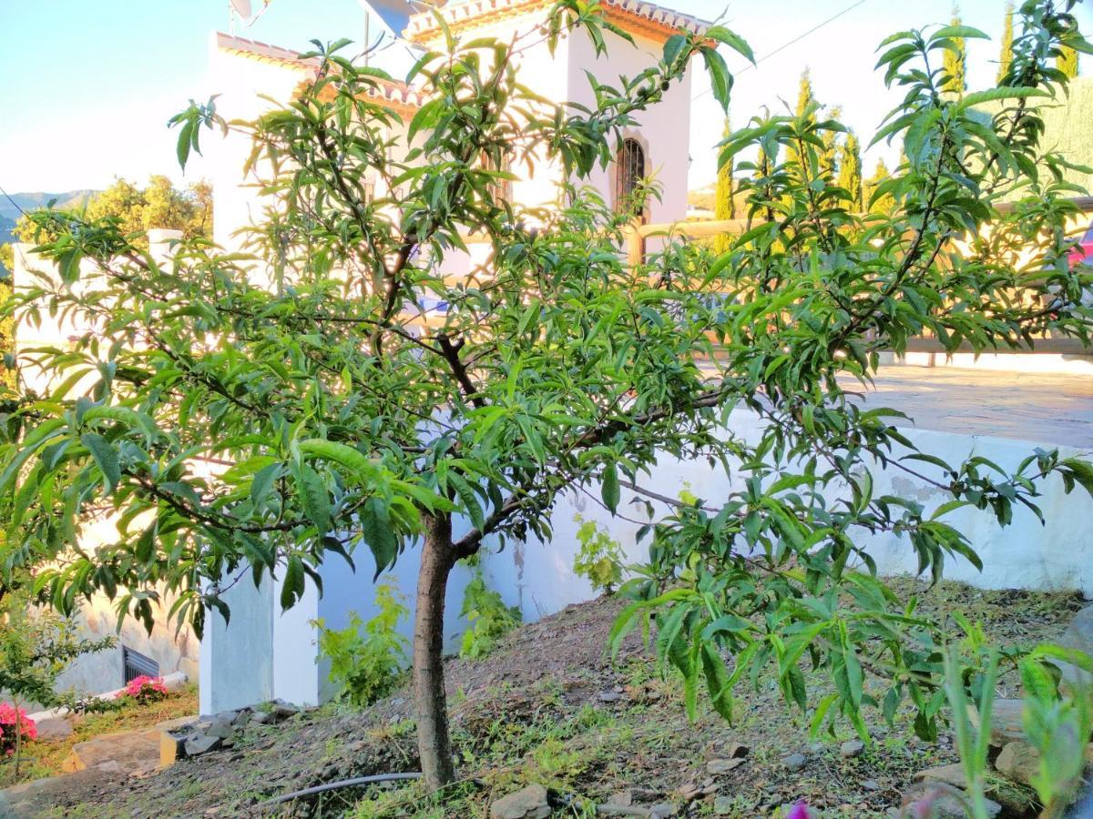 טורוקס Villa Las Encinas Costa Del Sol מראה חיצוני תמונה
