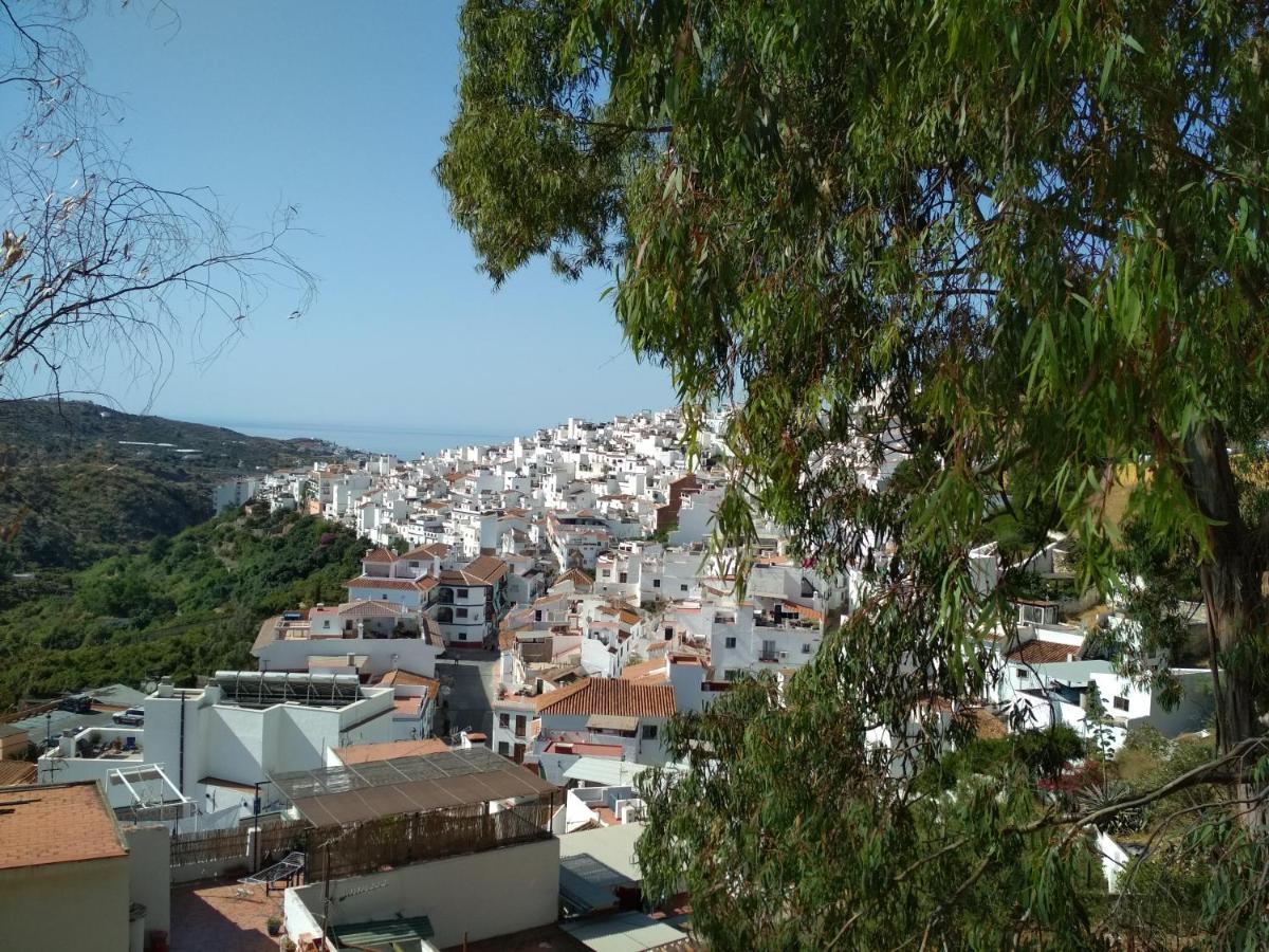 טורוקס Villa Las Encinas Costa Del Sol מראה חיצוני תמונה